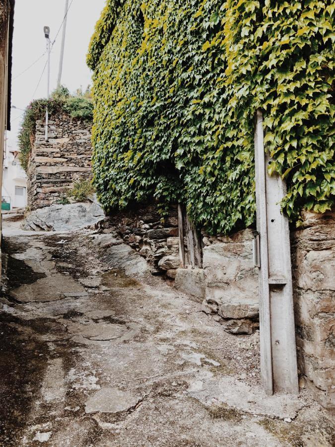 Casa Do Douro Guest House Alijó Екстериор снимка